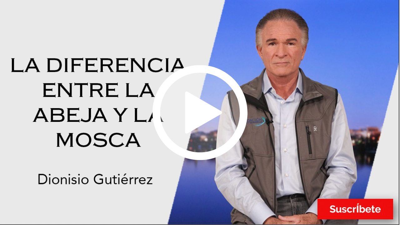 295. Dionisio Gutiérrez: La diferencia entre la abeja y la mosca